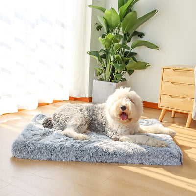 MrFluffyFriend™ - Orthopedic Pillow