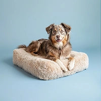 Photo of Orthopedic pillow