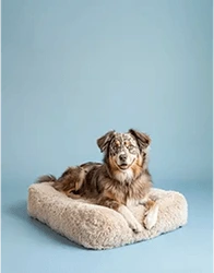 Photo of Orthopedic pillow